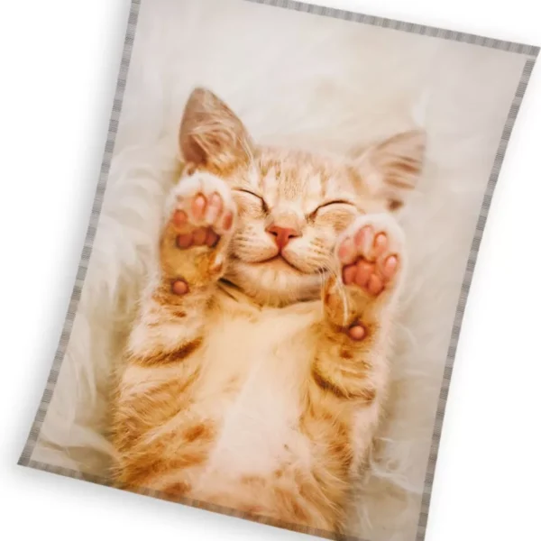 Cicás Fluffydream coral fleece polár takaró 130x170cm